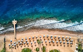 تروبيتل دهب اواسيز